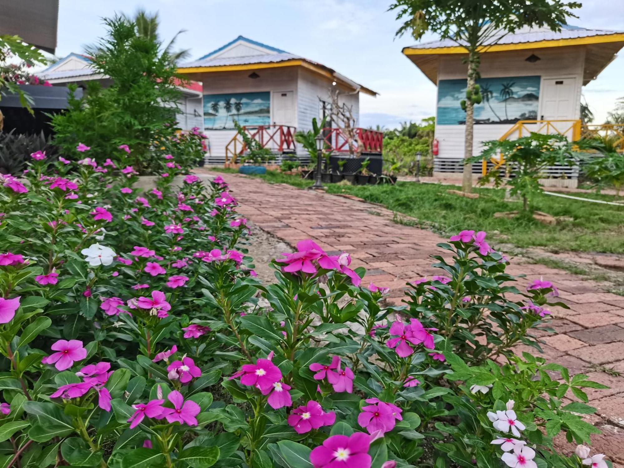 Shunde Palm Resort 仙本那顺德人家棕榈园 외부 사진